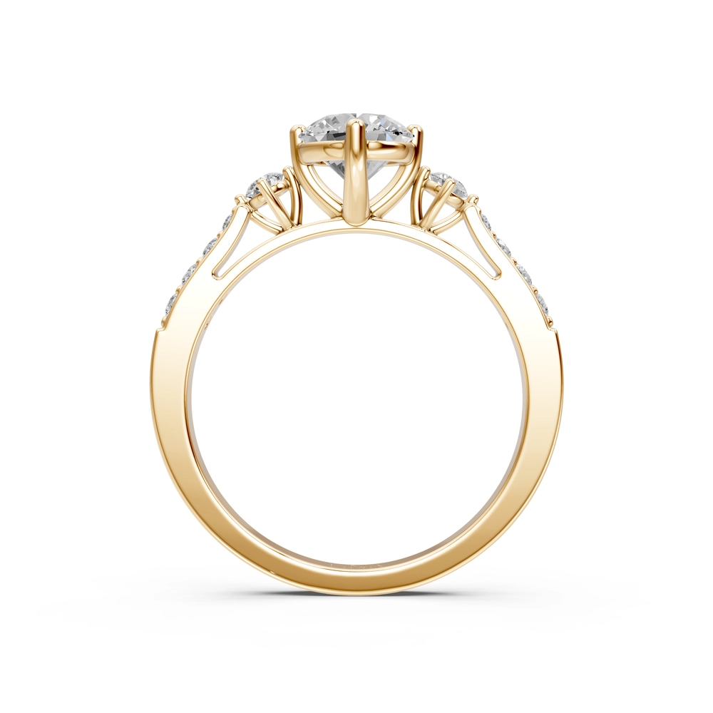 Product View 5