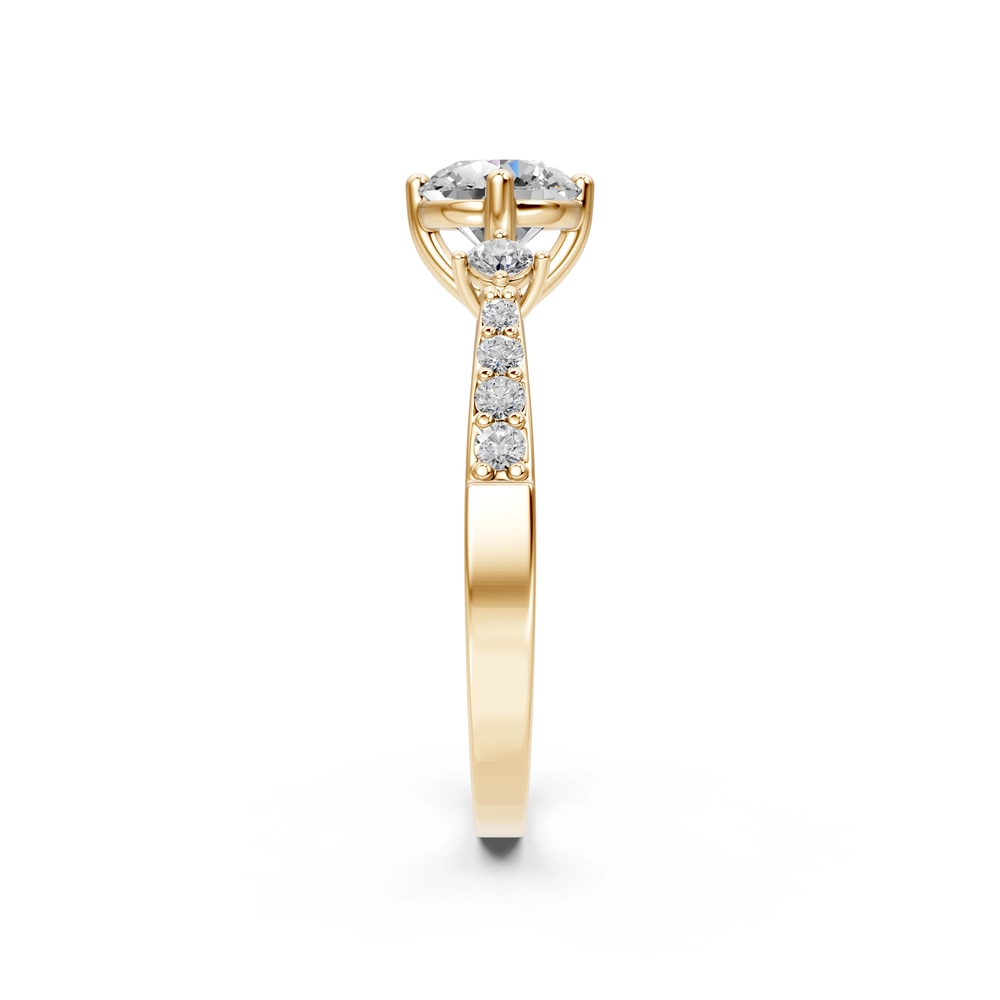 Product View 4