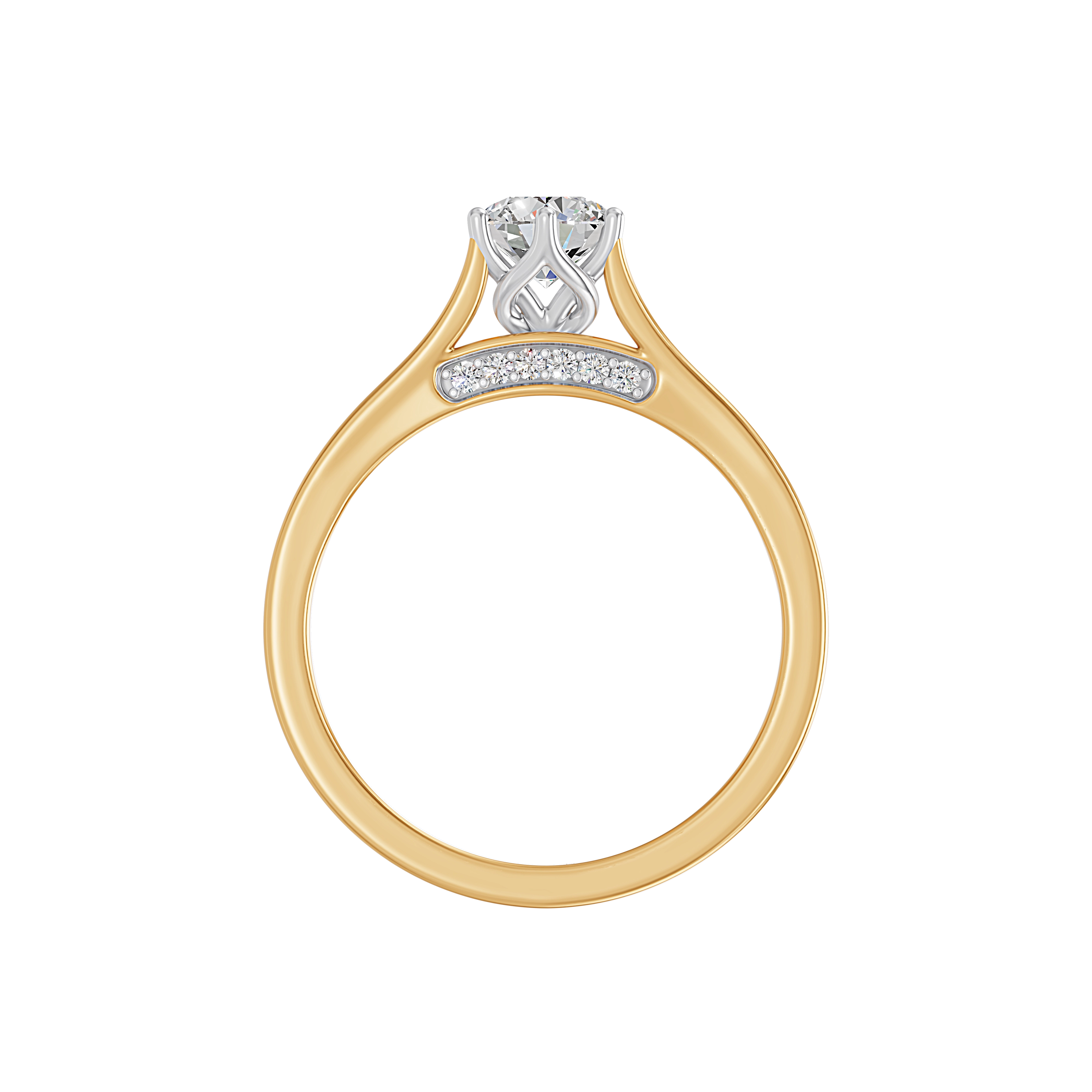 Product View 5
