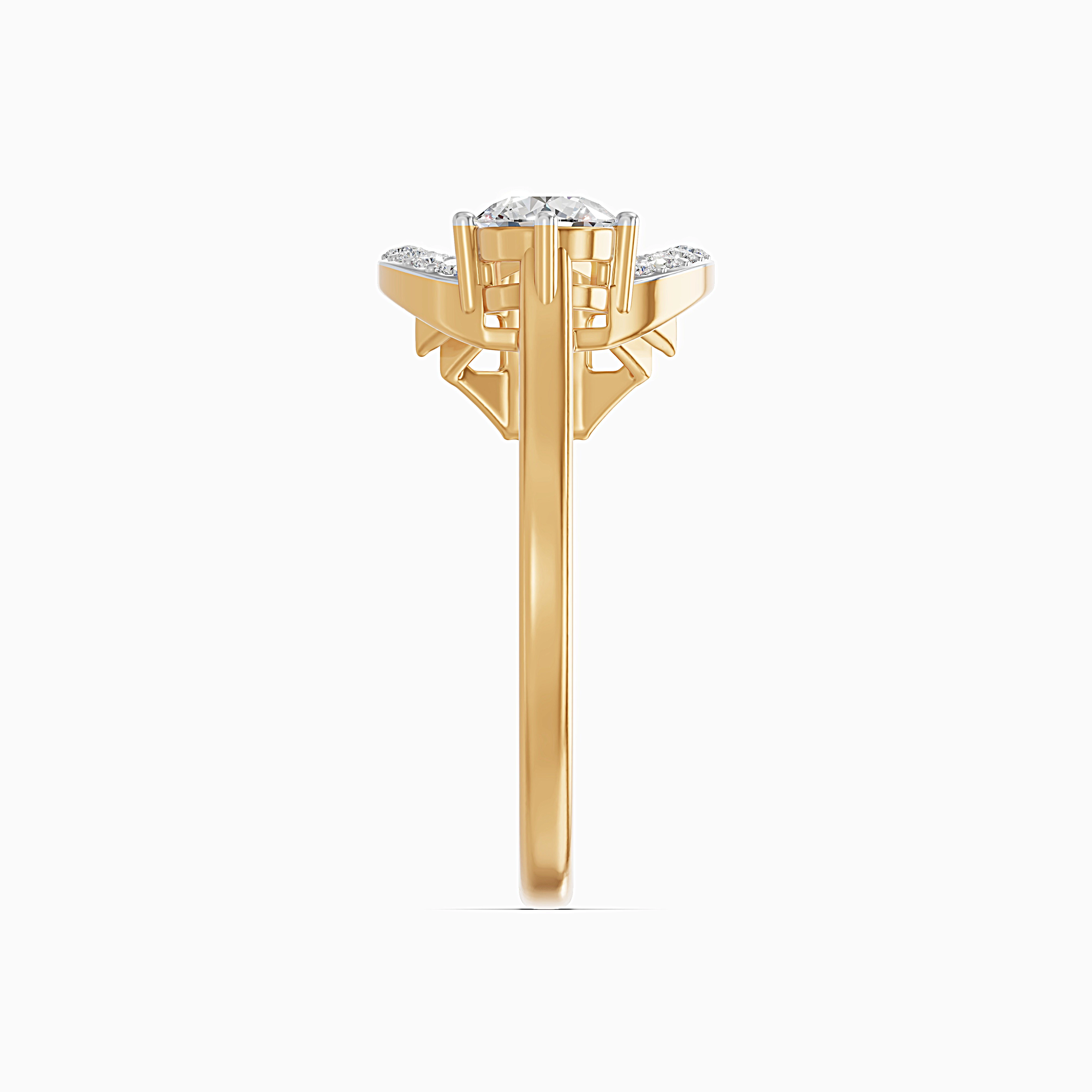 Product View 4